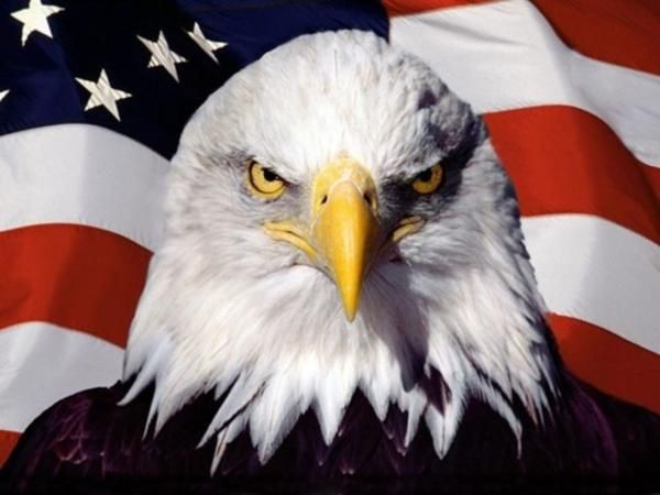 [Image: american-pride-eagle.jpg]
