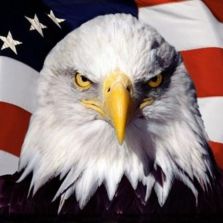 american-pride-eagle.jpg