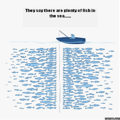Plenty of fish in the sea | Memes.com