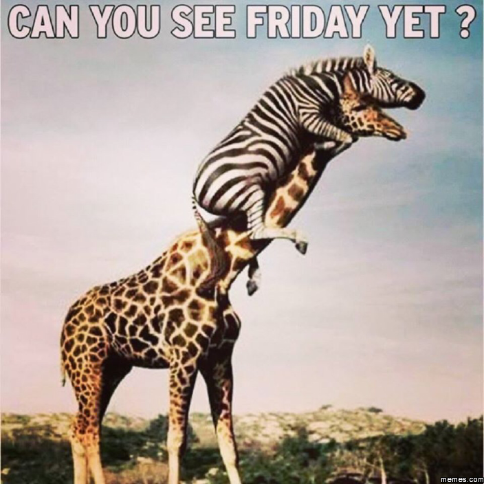 Can you see friday yet?
