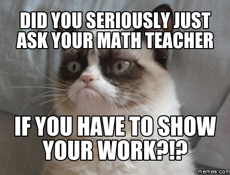 Grumpy Cat: Did you seriously just ask your math teacher if you have to show your work?!?