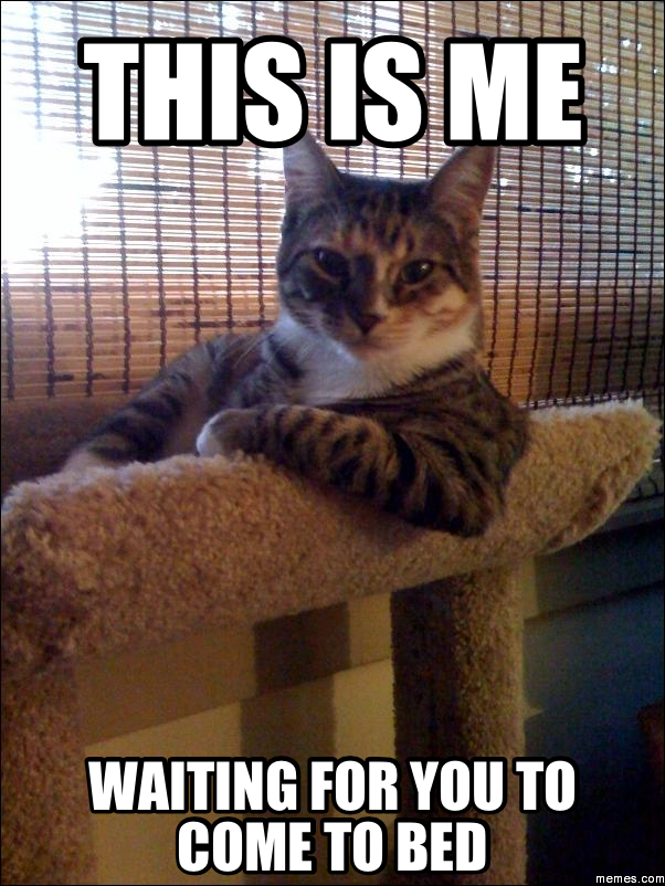 This is me waiting for you to come to bed | Memes.com