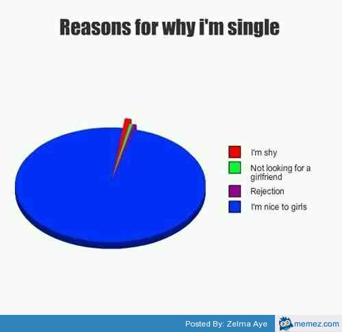 Reasons Why I'm Single | Memes.com