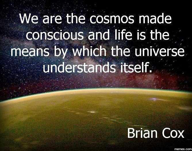 We are the cosmos made conscious... | Memes.com