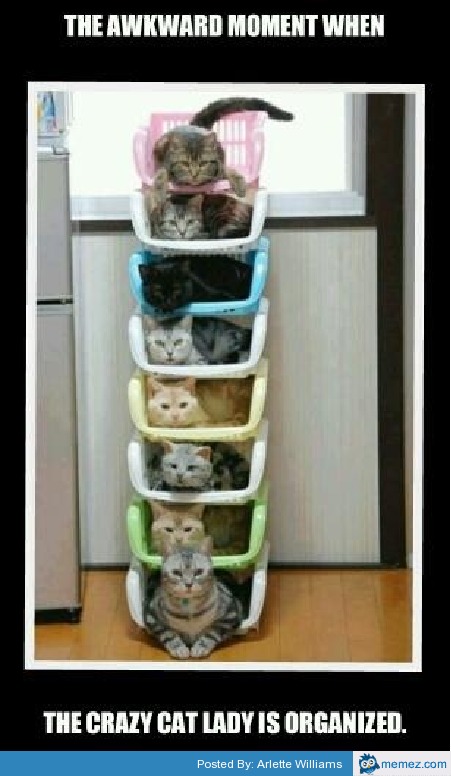 Crazt cat lady is organized | Memes.com