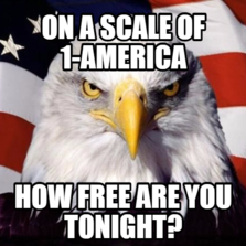 On a scale of 1-america how free are you tonight?